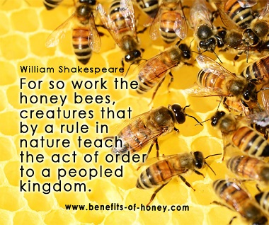 bee peopled kingdom poster image