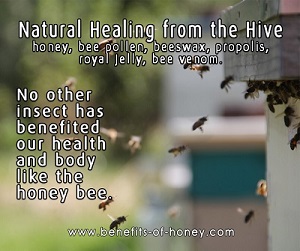 healing from the hive image
