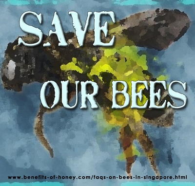 save our bees image