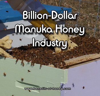 billion dollar manuka honey industry image
