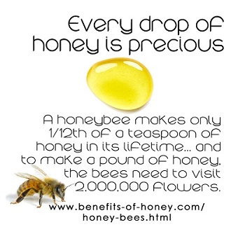 every drop of honey is precious