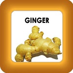 ginger and honey image