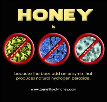 honey is antibacterial image