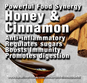 honey cinnamon image