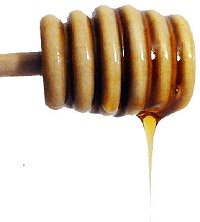 hibernation honey diet image