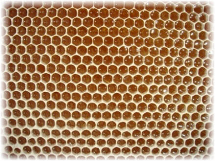 honeycomb rims