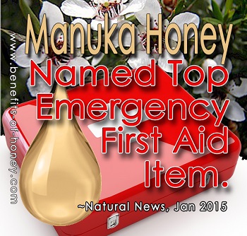 manuka honey is top first aid item image