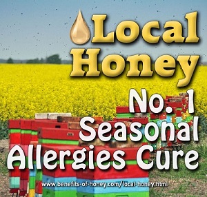 honey allergy poster image
