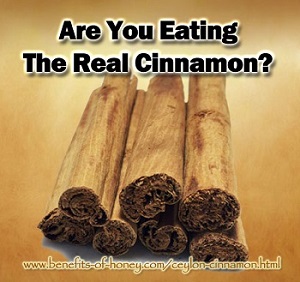 7 Ways to Identify Ceylon Cinnamon (Buying Tips)