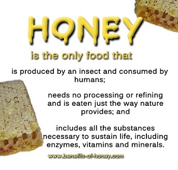 what is honey image