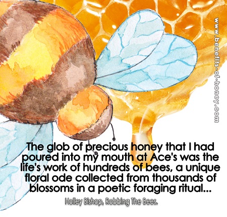 the taste of honey poster